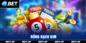 Rồng Bạch Kim - Tổng Hợp Những Thông Tin Mới Nhất Cần Biết